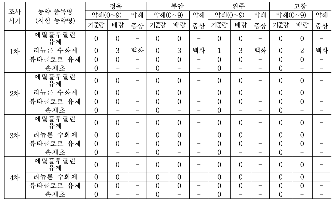 식용귀리의 조사시기별 약해