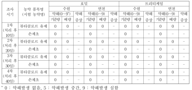 뷰타클로르 유제 토양 처리 후 조사시기별 약해 발생 (1, 2년차 평균)