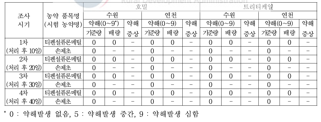 티펜설퓨론메틸 수화제 경엽 처리 후 조사시기별 약해 발생(1, 2년차 평균)