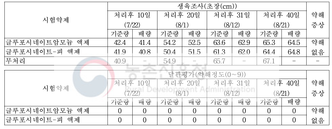 팥밭(휴간) 비선택성 제초제 처리에 따른 약해(피복재배)(밀양1)