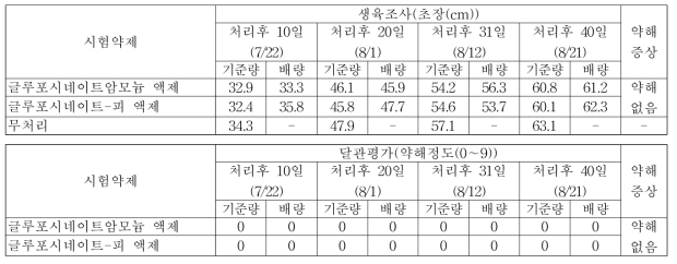 팥밭(휴간) 비선택성 제초제 처리에 따른 약해(무피복)(밀양2)