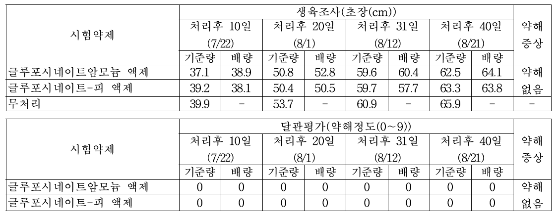 팥밭(휴간) 비선택성 제초제 처리에 따른 약해(피복재배)(밀양2)