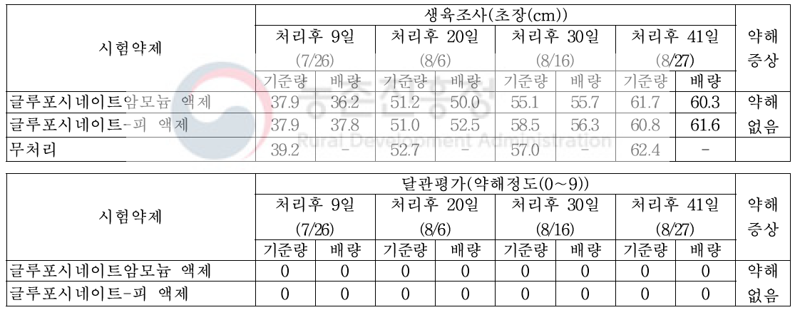 팥밭(휴간) 비선택성 제초제 처리에 따른 약해(무피복)(대구)