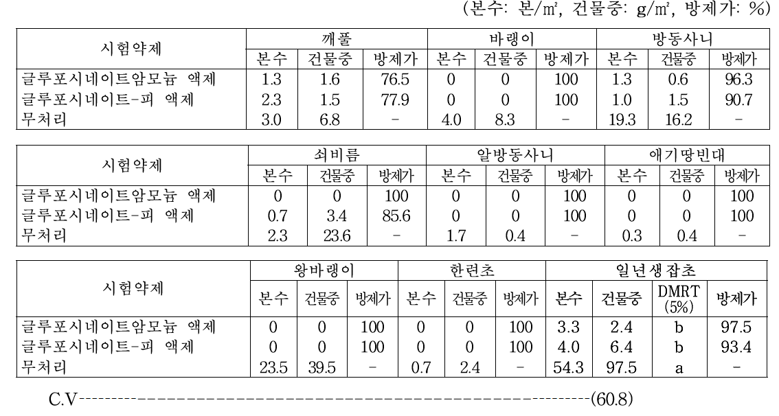 녹두 밭(휴간) 비선택성 제초제 처리 20일 후 일년생잡초 방제효과(대구, 2019)