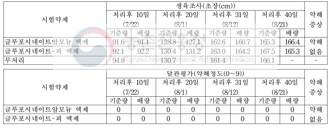 기장밭(휴간) 비선택성 제초제 처리에 따른 약해(무피복)(밀양)(2019)