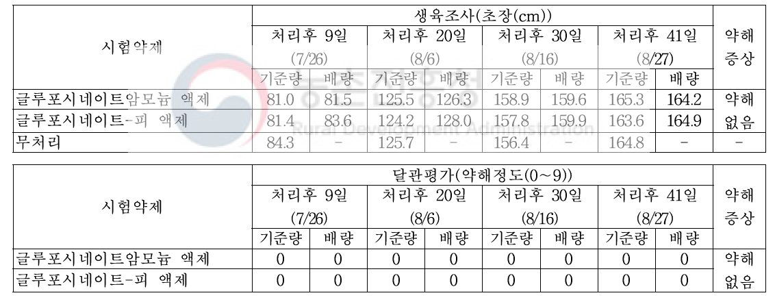 기장밭(휴간) 비선택성 제초제 처리에 따른 약해(피복재배)(대구)(2019)