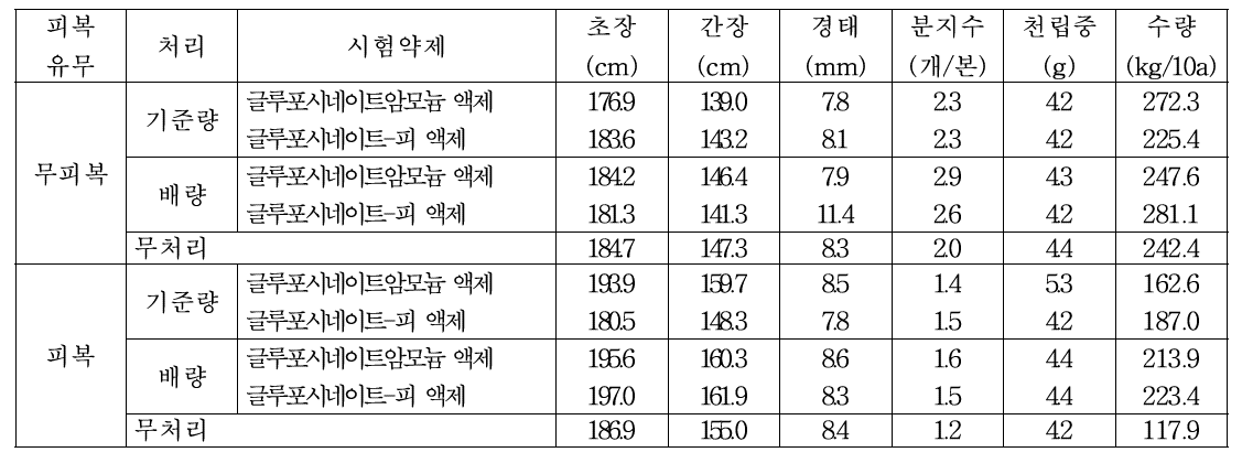 기장밭(휴간) 비선택성 제초제 처리에 따른 후기생육 및 수확량(대구)(2019)