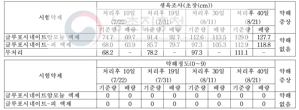 조 밭(휴간) 비선택성 제초제 처리에 따른 약해(무피복, 밀양)(2019)