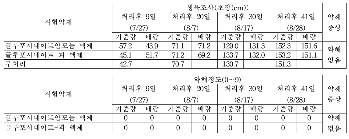 조 밭(휴간) 비선택성 제초제 처리에 따른 약해(피복, 밀양)(2018)