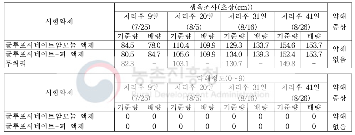 조 밭(휴간) 비선택성 제초제 처리에 따른 약해(피복, 대구)(2019)