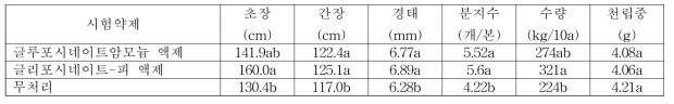 조 밭(휴간) 비선택성 제초제 처리에 따른 약효 처리구 수확기 생육 및 수량(대구)