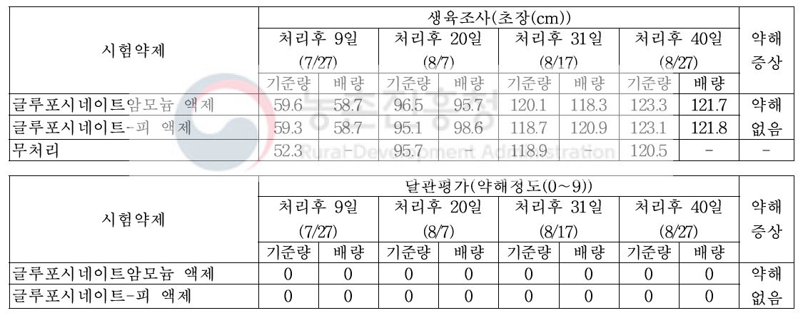 수수밭(휴간) 비선택성 제초제 처리에 따른 약해(무피복)(밀양)(2018)