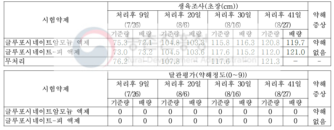 수수밭(휴간) 비선택성 제초제 처리에 따른 약해(무피복)(대구)(2019)