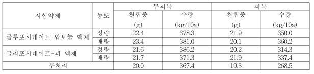 수수밭(휴간) 비선택성 제초제 처리에 따른 후기생육 및 수확량(밀양)(2018)