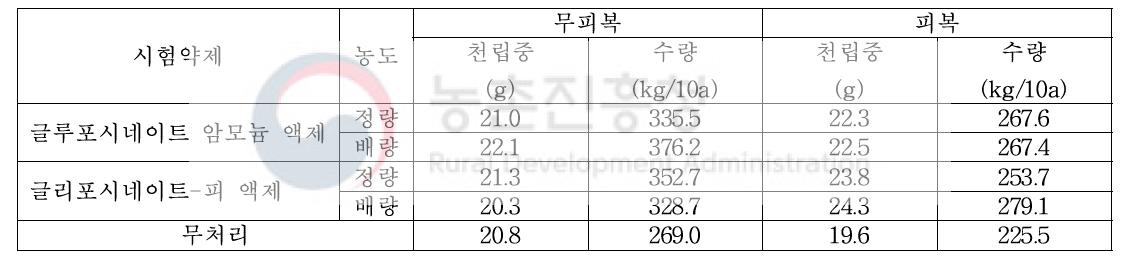 수수밭(휴간) 비선택성 제초제 처리에 따른 후기생육 및 수확량(대구)(2018)