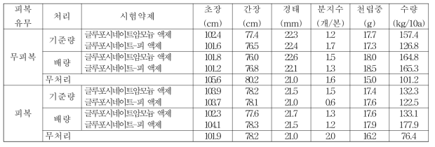 수수밭(휴간) 비선택성 제초제 처리에 따른 후기생육 및 수확량(밀양)(2019)