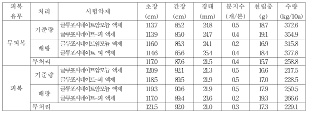 수수밭(휴간) 비선택성 제초제 처리에 따른 후기생육 및 수확량(대구)(2019)