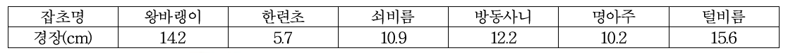 들깨 시험구내 잡초 생육(2019, 밀양)