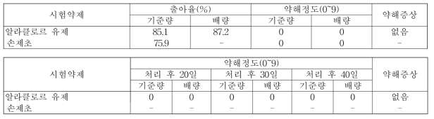 메밀밭 토양처리형 제초제 처리에 따른 약해(강릉시(2019), 처리 후 10일)