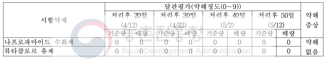 ‘18년 유채 봄 파종 토양처리제 처리에 따른 약해(여주)