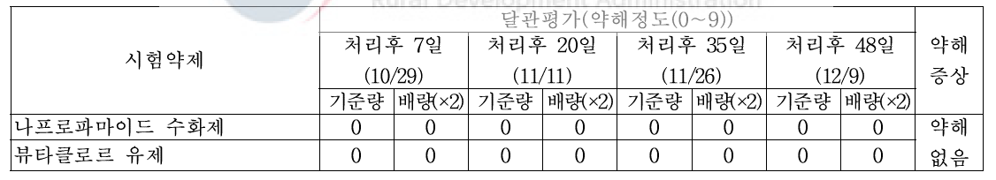 ‘19년 유채 가을 파종 토양처리제 처리에 따른 약해(무안)