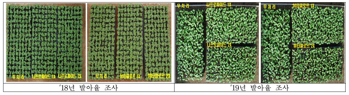 약제별 기준량 및 배량처리에 따른 발아율 조사 포트시험