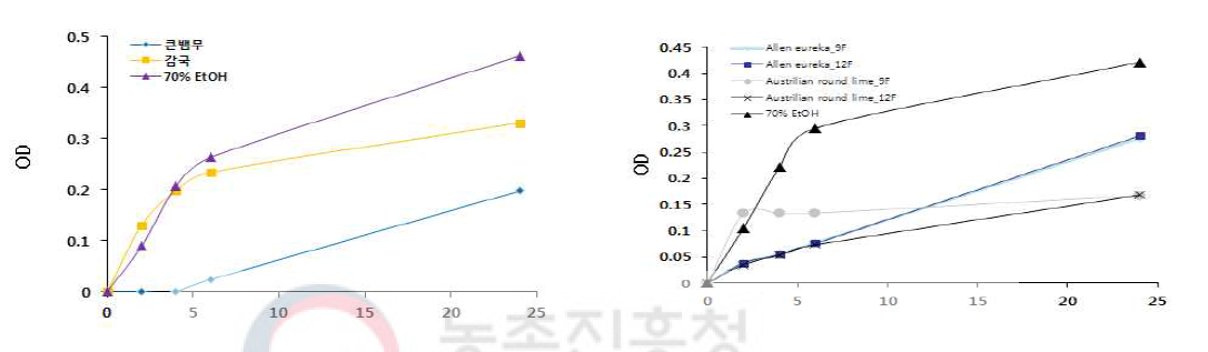 E. coli에 대한 생육 저해활성