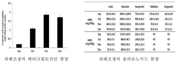 하례조생의 성분 분석