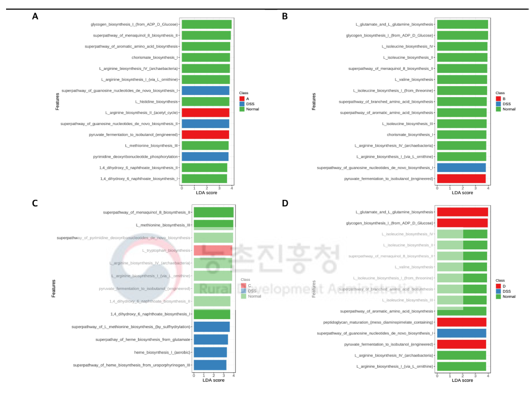 동물모델에서의 장내미생물의 metabolic pathway 분석