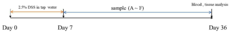 Schematic diagram of animal experiment