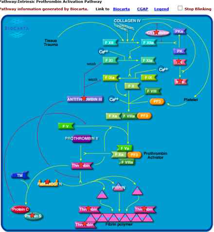 BIOCATA_PATHWAY Intrinsic Prothrombin Activation Pathway 차등 발현 단백체간 상호 관련 pathway