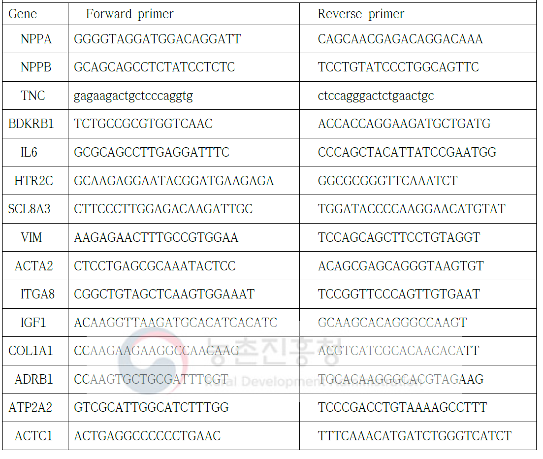 양적 실시간 PCR을 수행한 유전자명과 프라이머 염기서열 정보