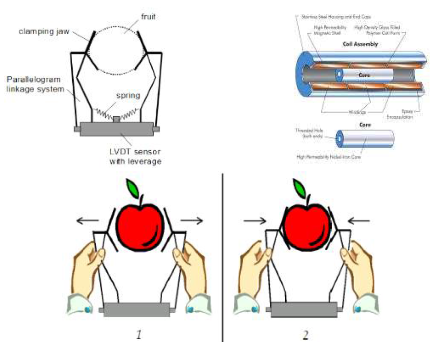 상용 과실생장측정 센서 및 원리(Fruit growth sensor)