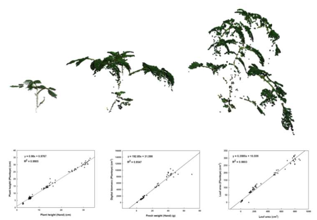 식물 표현형 분석기로 측정된 생육 단계에 따른 토마토 3D 영상 및 실측값의 상관관계(n=36)
