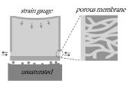 Strain gauge 기반 MEMS Tensiometer