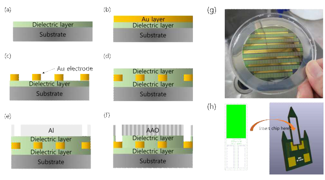(a-f) 센서 공정 step, (g) 반도체 공정 결과, (h) 센서 packaging scheme