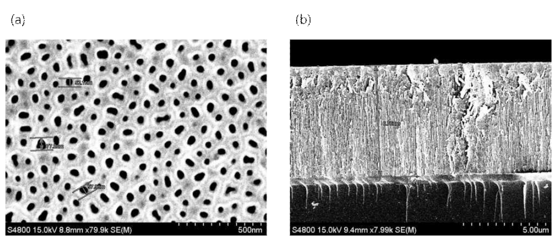 (a) AAO layer top view, 50 nm ~ 70 nm 수준의 pore가 형성 (b) AAO layer side view, 6 μm ~7 μm 수준의 AAO layer가 상부부터 하부까지 형성됨을 확인