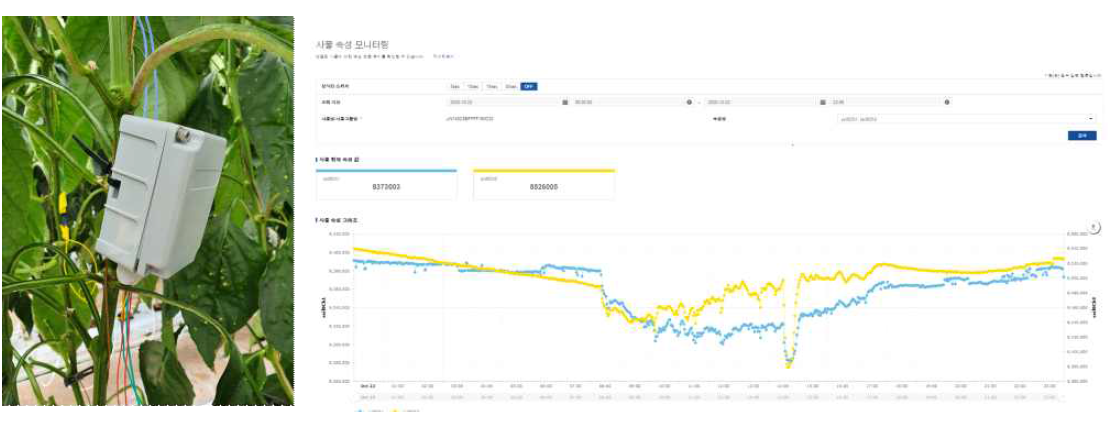 ㈜ 텔로팜 모듈 작물에 설치 및 실시간 모니터링 데이터 logging 화면