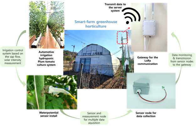 시험농장 및 센서 토마토 설치 및 자료수집 시스템 구축 현황