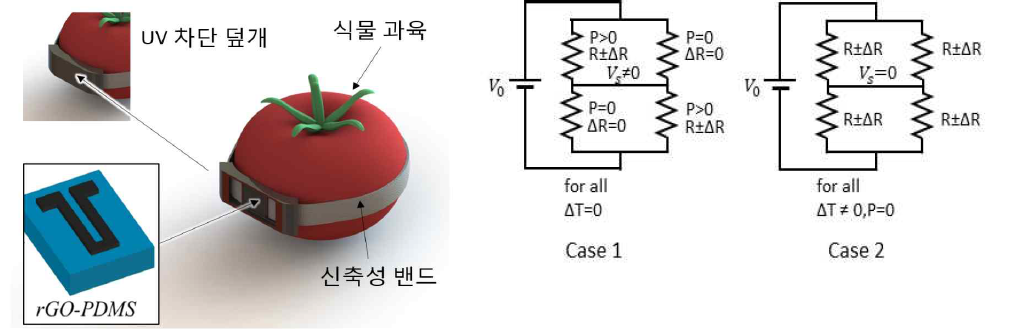 r-GO(reduced Graphene Oxide) 기반 과실 비대 센서 및 측정용 회로