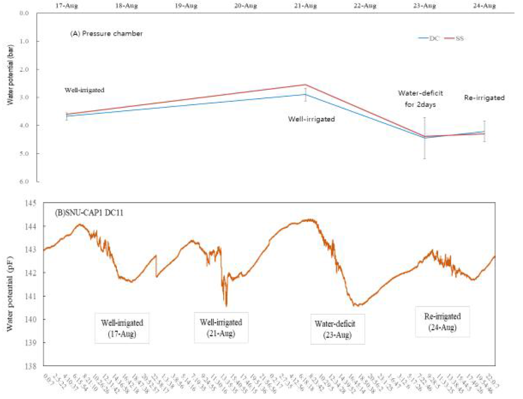 근권 수분조건에 따른 식물 수분포텐셜 변화
