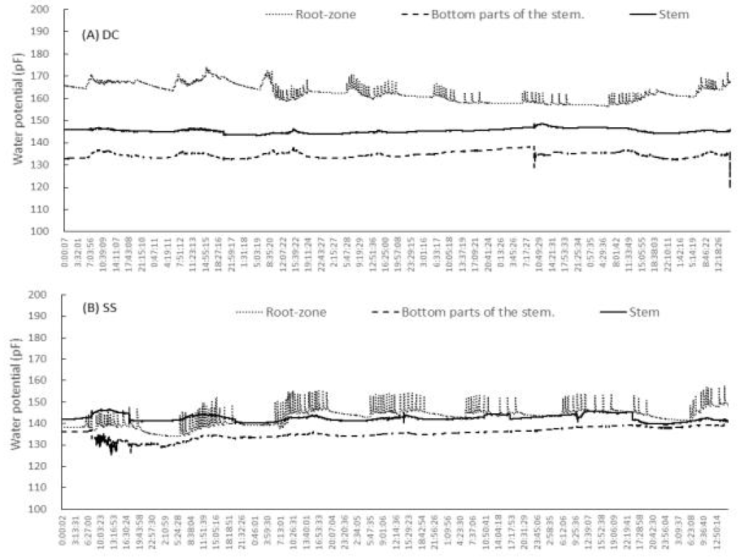 배지 종류에 따른 배지, 줄기 지제부, 줄기 수분포텐셜 변화 8/3~8/10