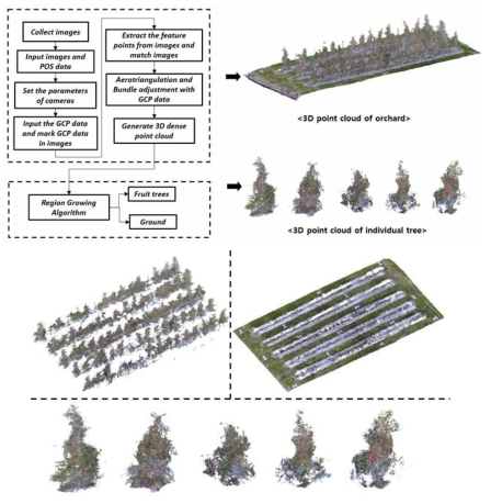 Segmentation 결과: 과수, 토지, 개별 과수