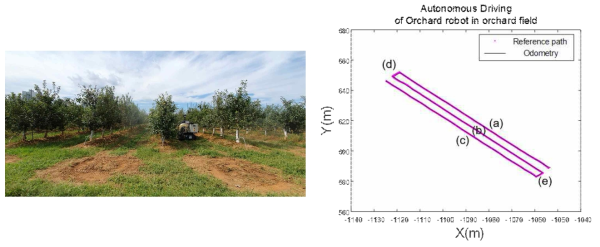 실제 과수 환경 내 사전 정의된 경로와 로봇의 주행 궤적