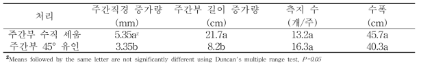 ‘피크닉’ 품종에서의 줄기 관리에 따른 재식 당년 수체 생장
