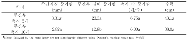 ‘피크닉’ 품종에서의 주간부 측지 수에 따른 재식 당년 수체 생장