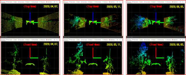 과수의 생육 시기별 인식된 3차원 공간상의 위치 데이터 분포 비교