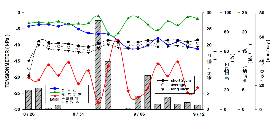 연속적인 강우시 기상환경과 토양수분 변화(8월26일 ~ 9월12일)