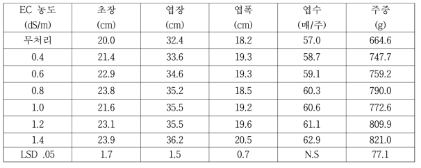 관비의 EC 농도별 고랭지배추 생육특성 비교(2019)