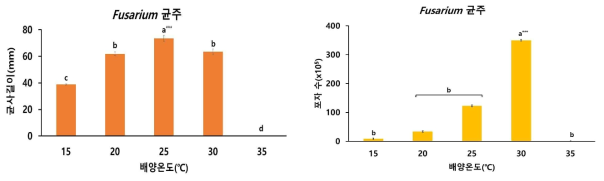 배추 시들음병 균주의 균사생장(좌) 및 포자형성률(우)의 온도별 평가
